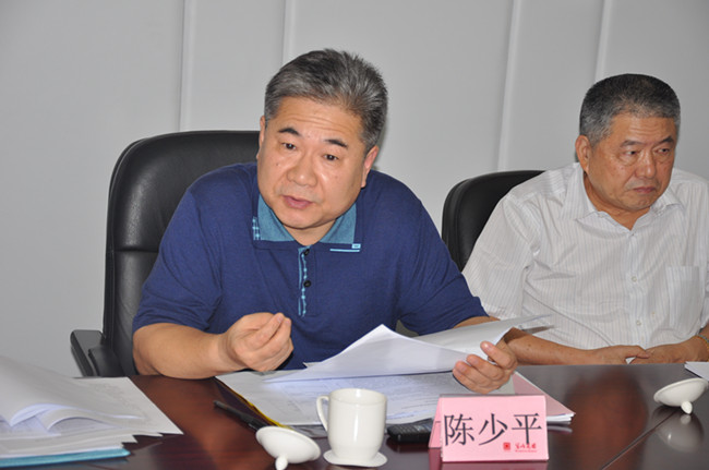8陈少平书记发言_副本.jpg