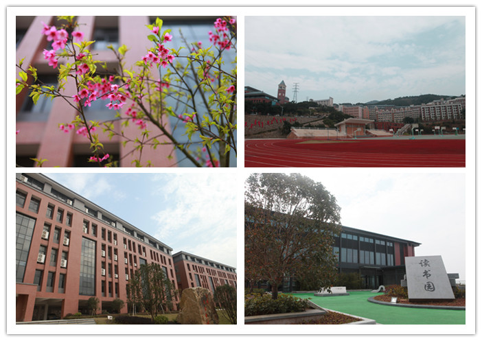 1校园处处春意盎然.jpg