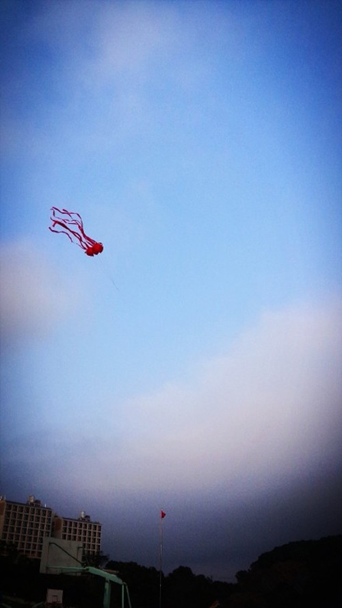 03-9_河豚姑娘- 副本.jpg